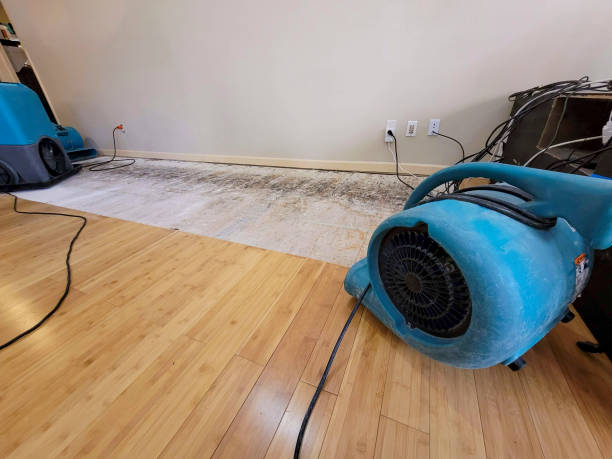 Professional Structural Drying technician working in Deer Park, OH